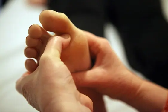 רפלקסולוגיה הוליסטית רפלקסולוגיה הוליסטית